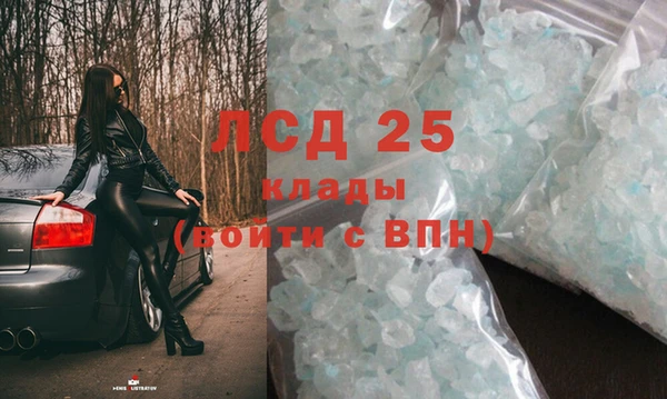 спиды Абаза