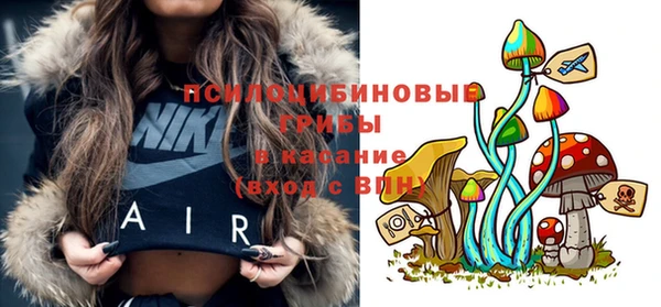 спиды Абаза